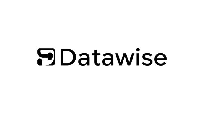 Datawise logo